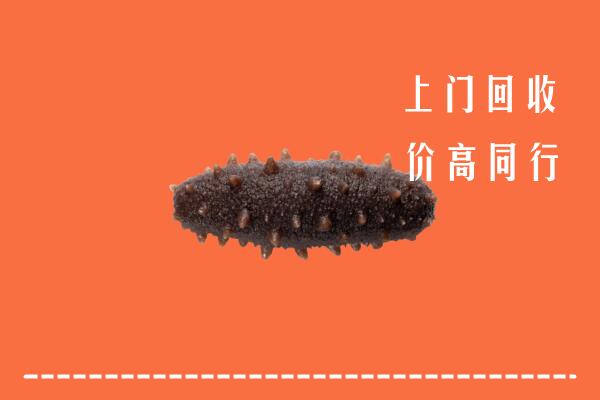 北塔区回收海参