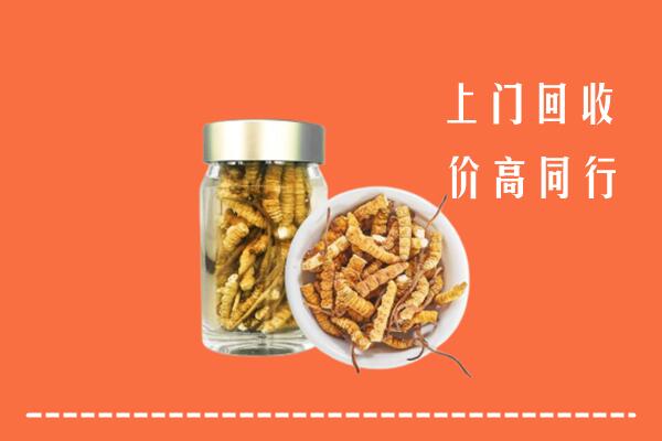 北塔区回收冬虫夏草